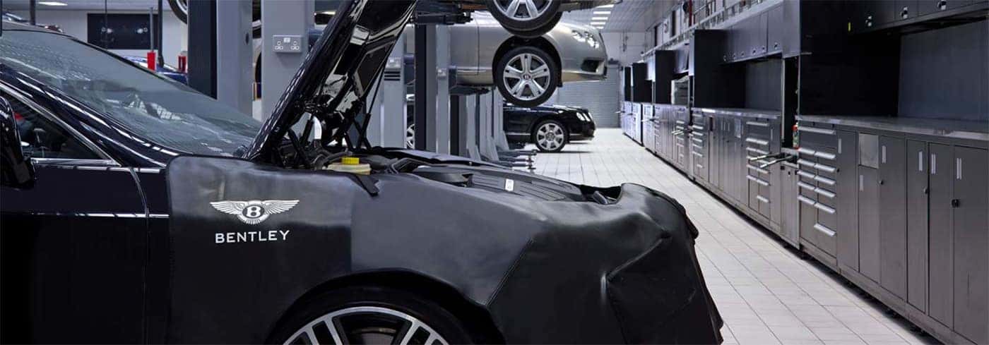 Bentley Storage Preparation