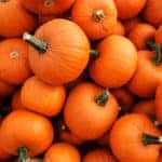 Pumpkinfest
