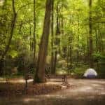 Tent setup on a camping ground