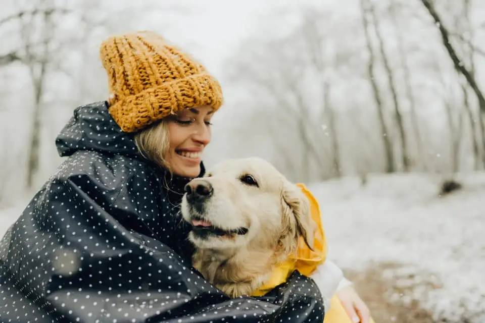 is it ok to leave dog in car in winter