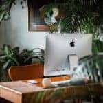How Office Plants Affect Your Work