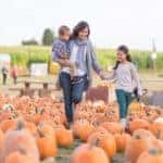 Pumpkin picking