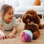 young girl laying on the floor playing with her red poodle
