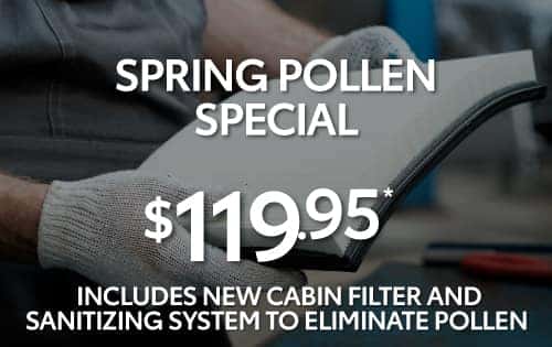 Spring Pollen Special - $119.95*