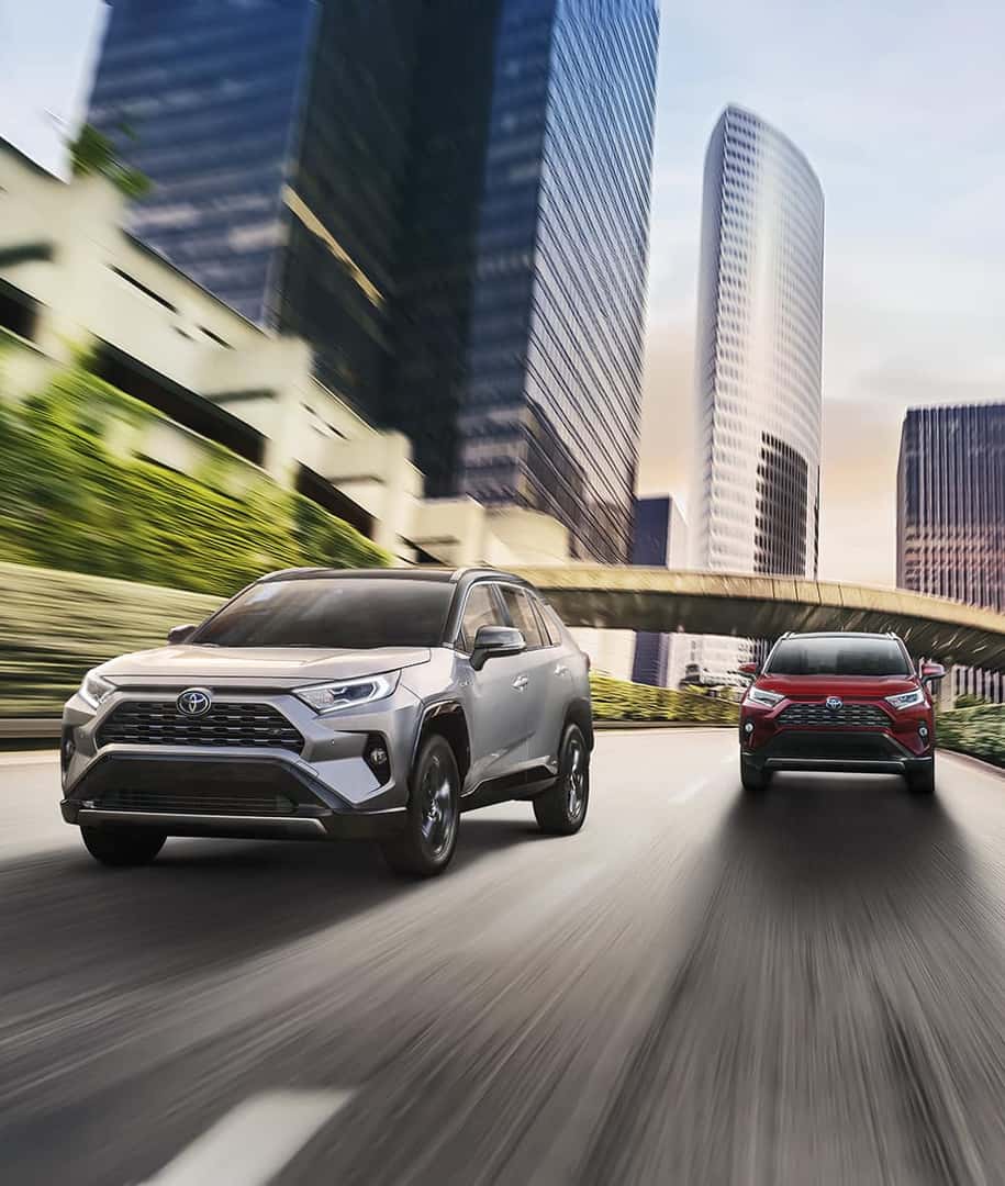 A Hybrid for Everyone at Boch Toyota | two 2019 toyota rav4 hybrid running on road A Hybrid for Everyone at Boch Toyota | two 2019 toyota rav4 hybrid running on road