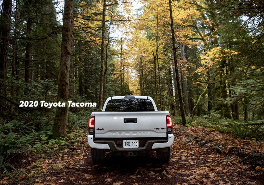 Comparison of the Toyota Tacoma vs. Tundra at Boch Toyota of Norwood | 2020 Tacoma parked in the wood