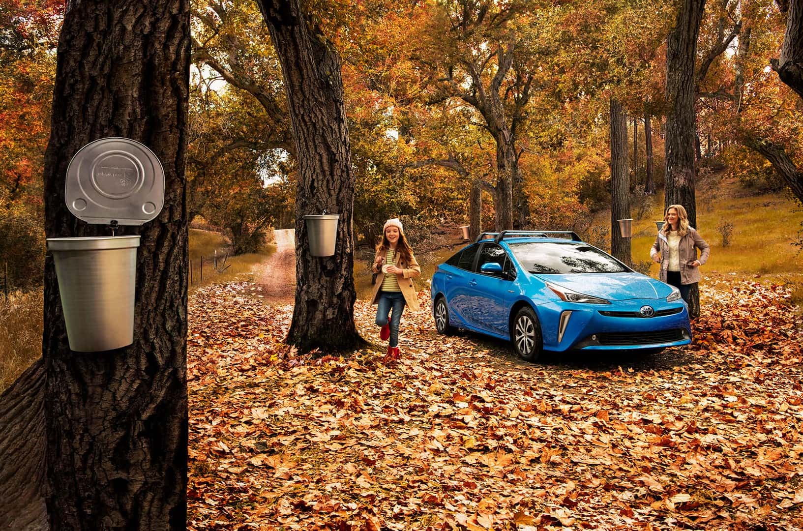 A Toyota Hybrid for Everyone: Quick Facts at Boch Toyota | 2020 prius hybrid in autumn A Toyota Hybrid for Everyone: Quick Facts at Boch Toyota | 2020 prius hybrid in autumn