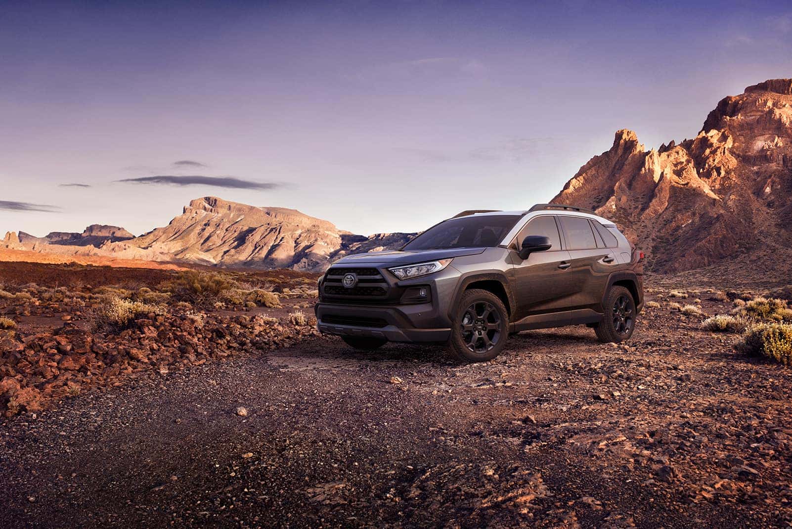 Performance features of the 2020 Toyota RAV4 at Boch Toyota | grey 2020 RAV4 parked on mountain terrain