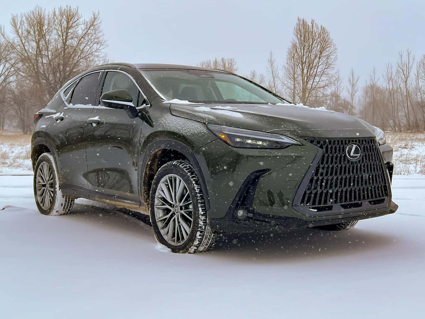 Prepare Your Lexus for the Winter | Coliseum Lexus of Oakland