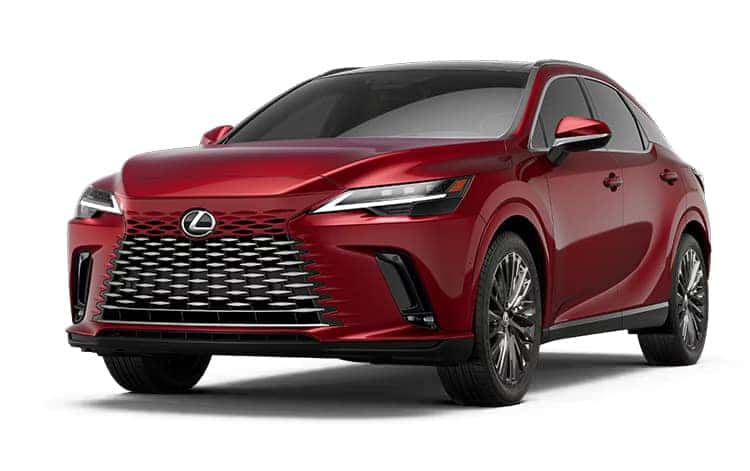 2025 Lexus RX | Coliseum Lexus of Oakland