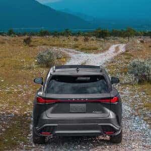 Lexus RX 500h AWD parked on a gravel road in a mountainous landscape, rear view.