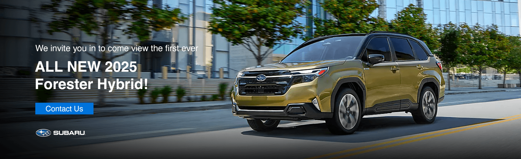 We invite you in to come view the first ever forester hybrid.