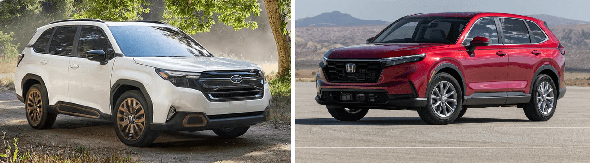 side by side image with a 2025 subaru forester on left and 2025 honda cr-v on the right