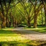 park