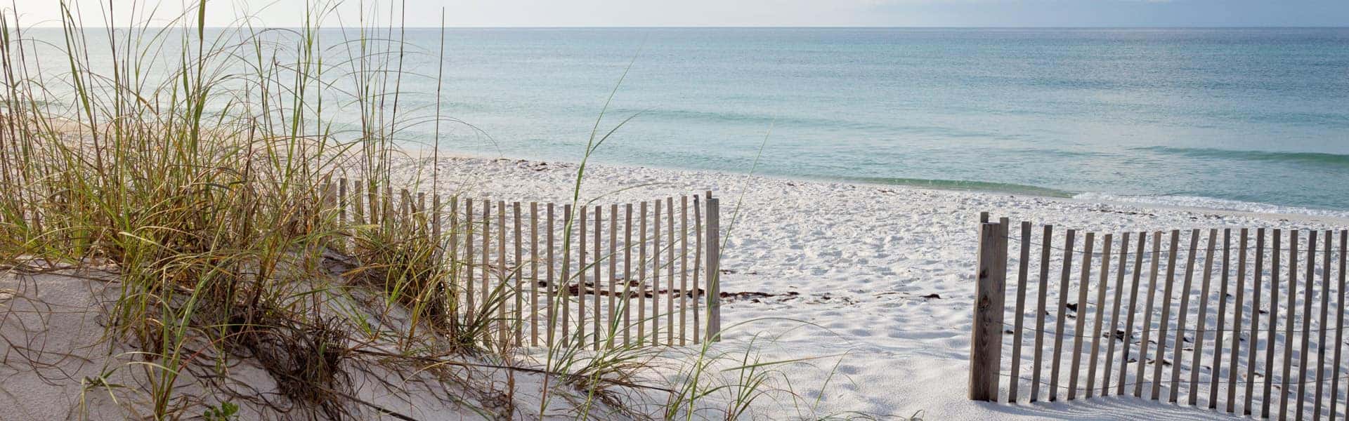 Discover Stunning Beaches Near Tallahassee, FL: Your Ultimate Guide