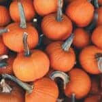 family-friendly halloween events in oklahoma city, ok