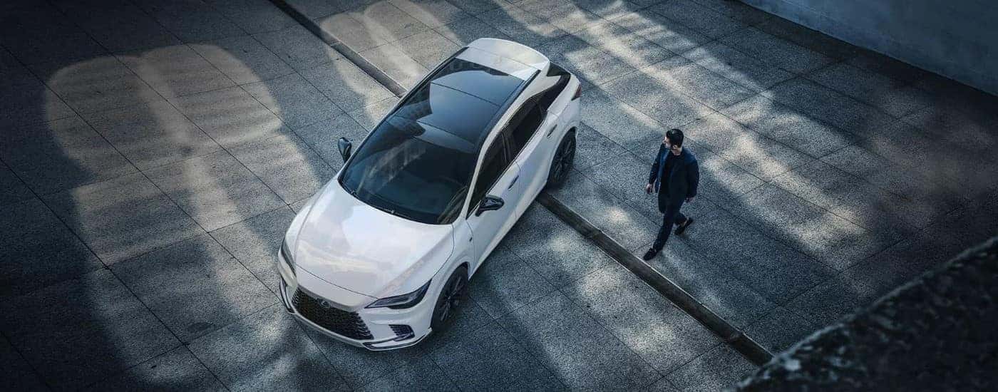 A white 2023 Lexus RX parked by a person.