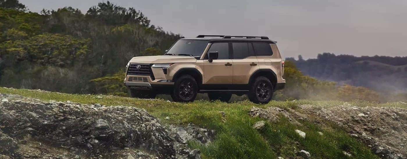 A tan 2024 Lexus GX driving a trail.