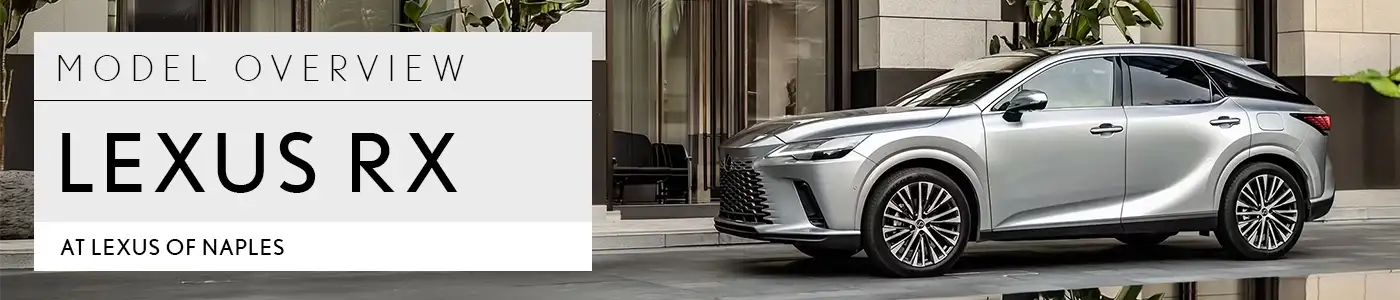 RX Overview - Lexus of Naples