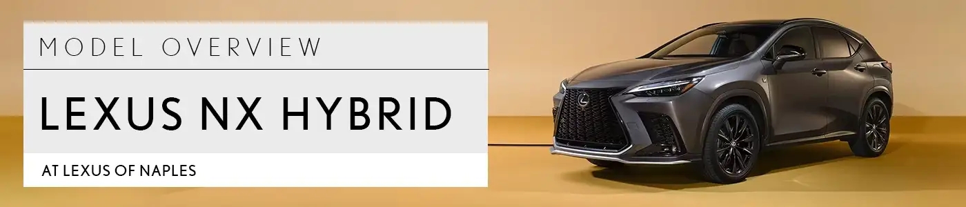 NX Overview - Lexus of Naples