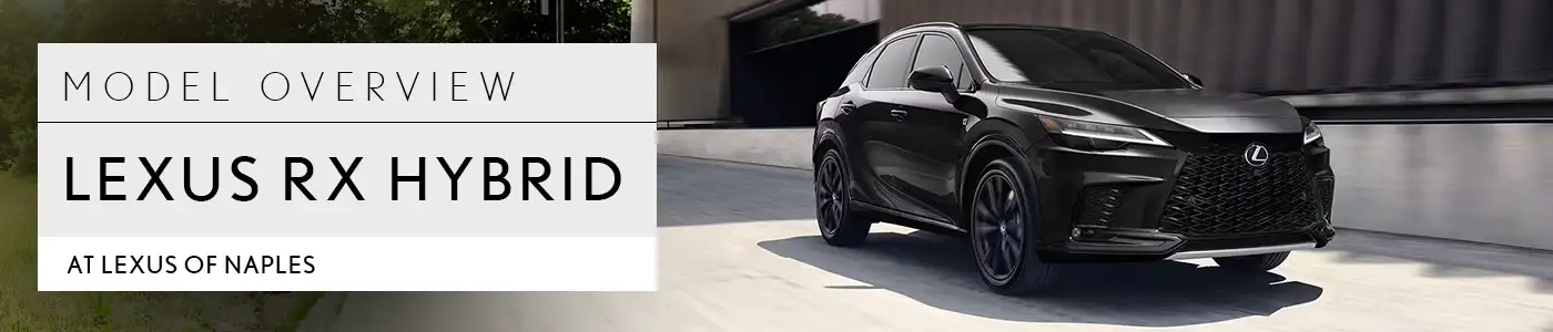 RZ Overview - Lexus of Naples