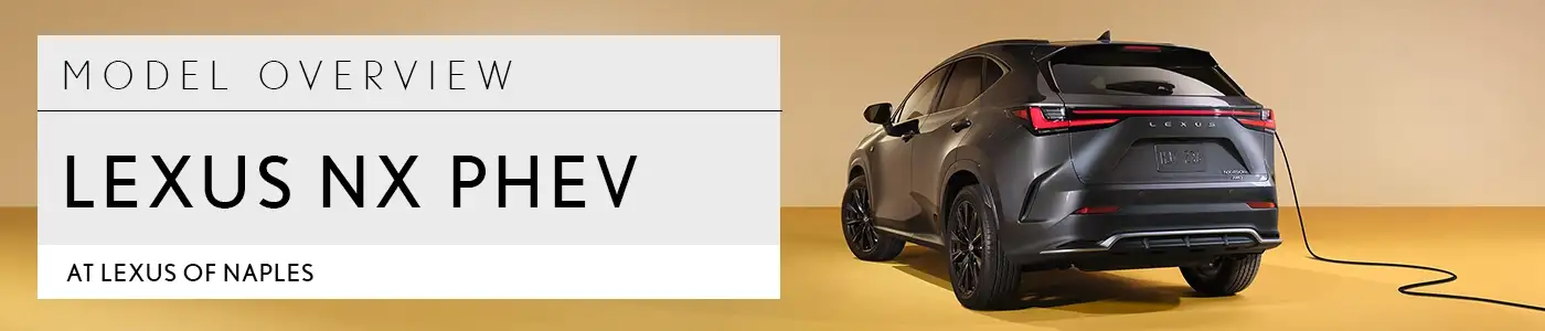 RX Overview - Lexus of Naples