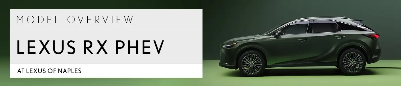 RX Overview - Lexus of Naples
