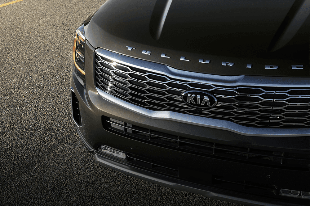 2020 Kia Telluride Grill