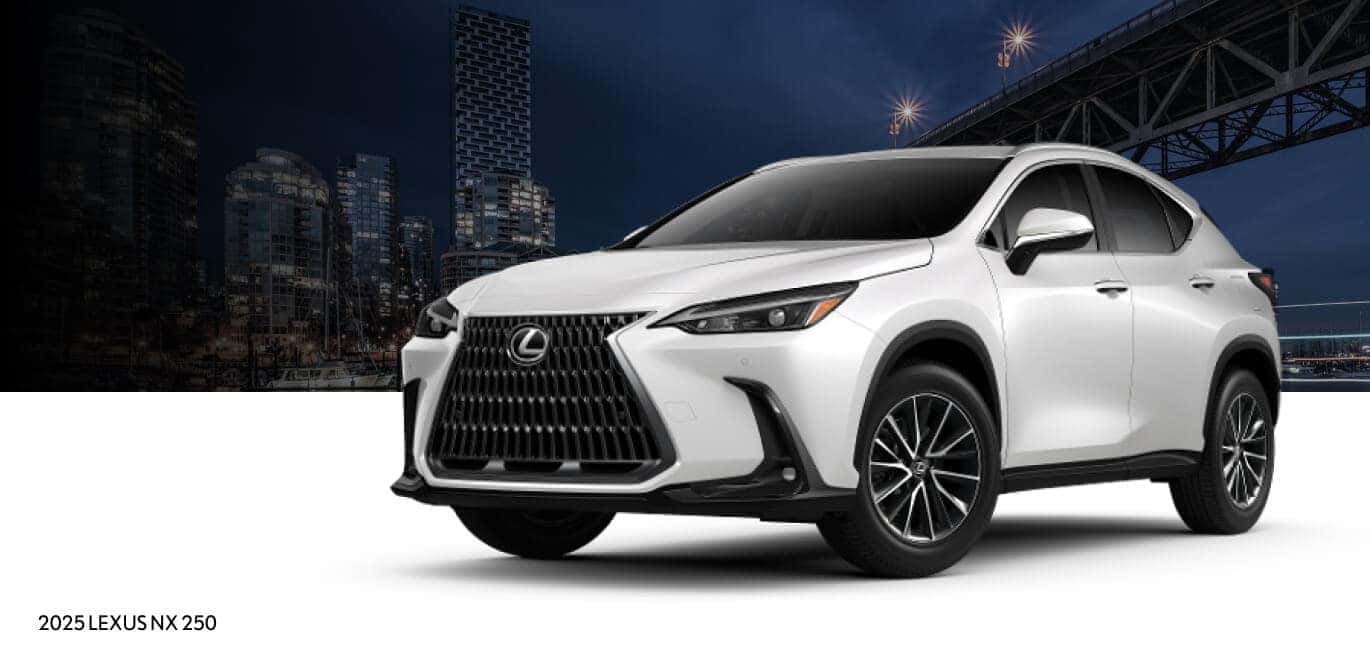 2025 Lexus NX 250