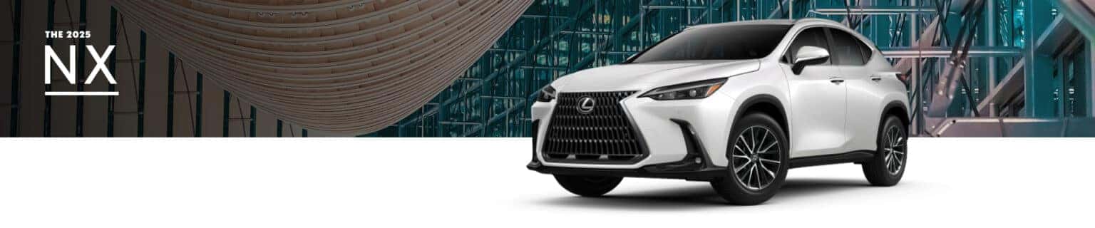 2025 Lexus NX Dimensions: Size & Cargo Space