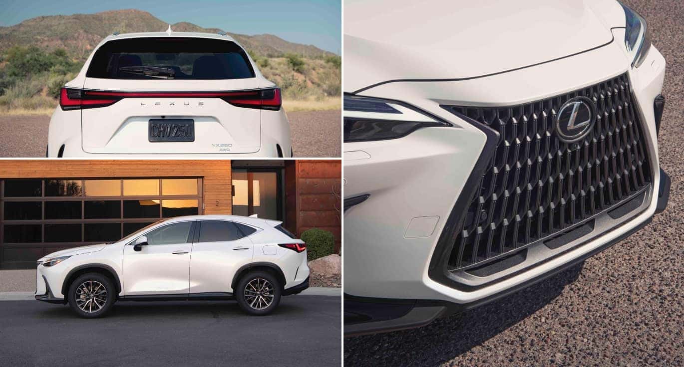 2025 Lexus NX Exterior Dimensions