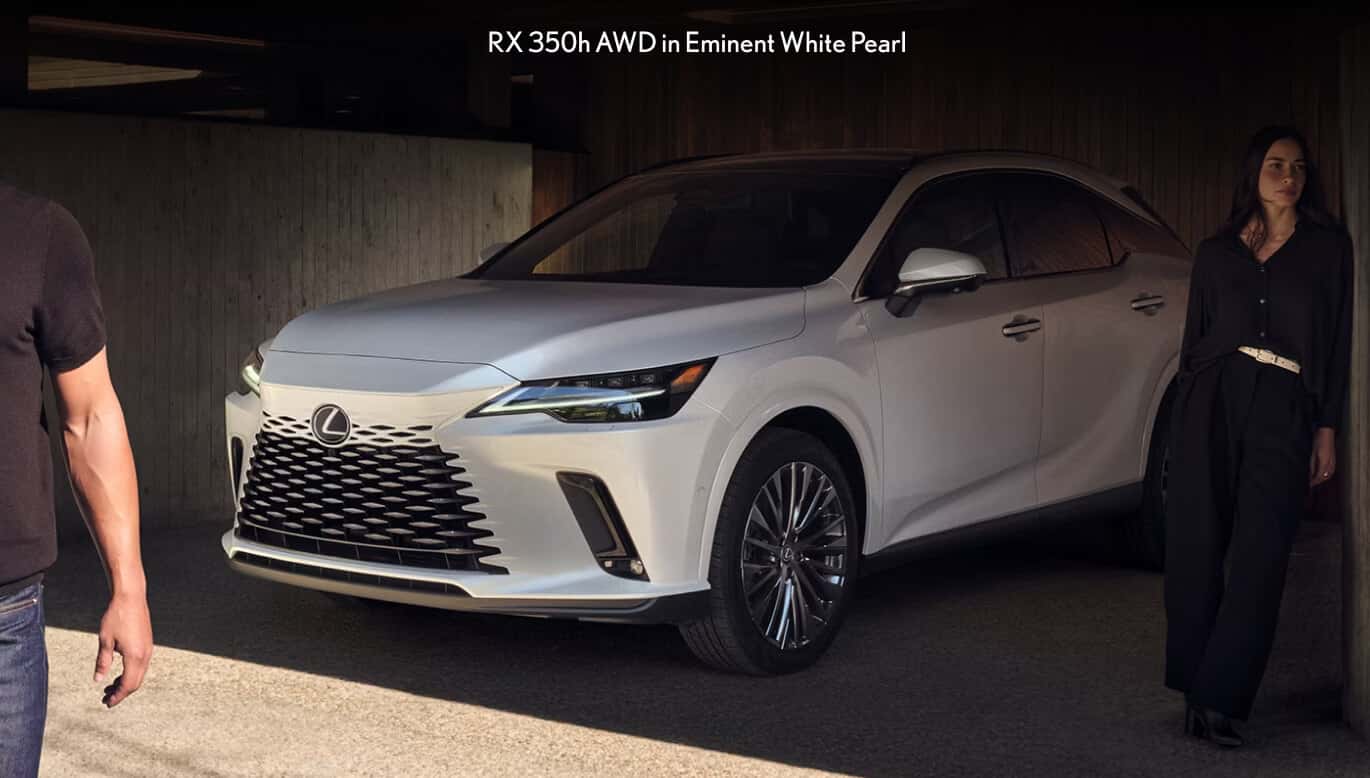 Why New Jersey Drivers Choose the Lexus RX