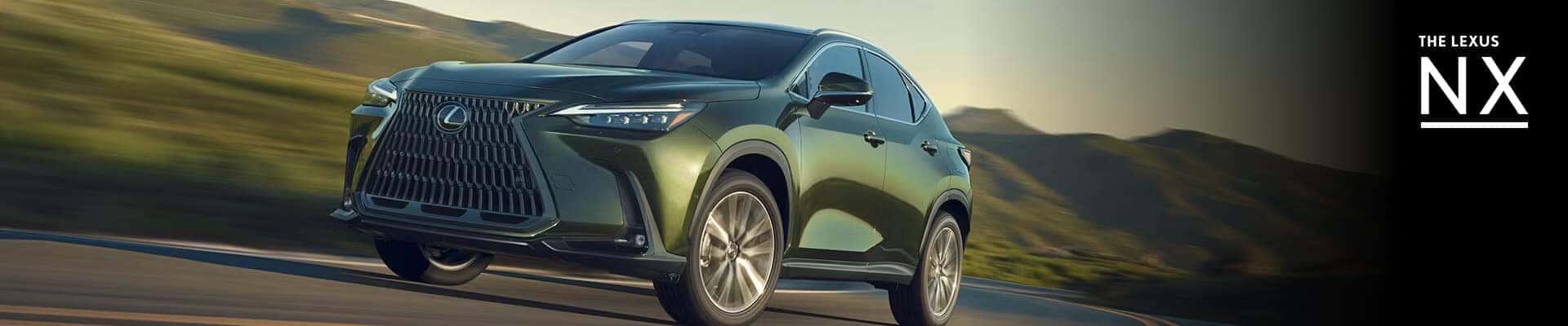 Lexus NX Trim Levels & Configuration