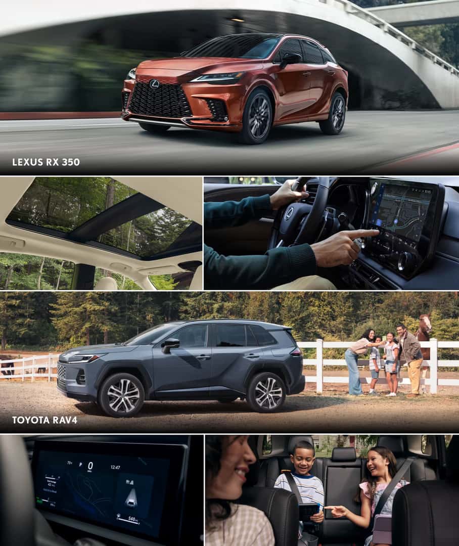 Extraordinary Toyota Rav4 Vs Lexus Rx Photos