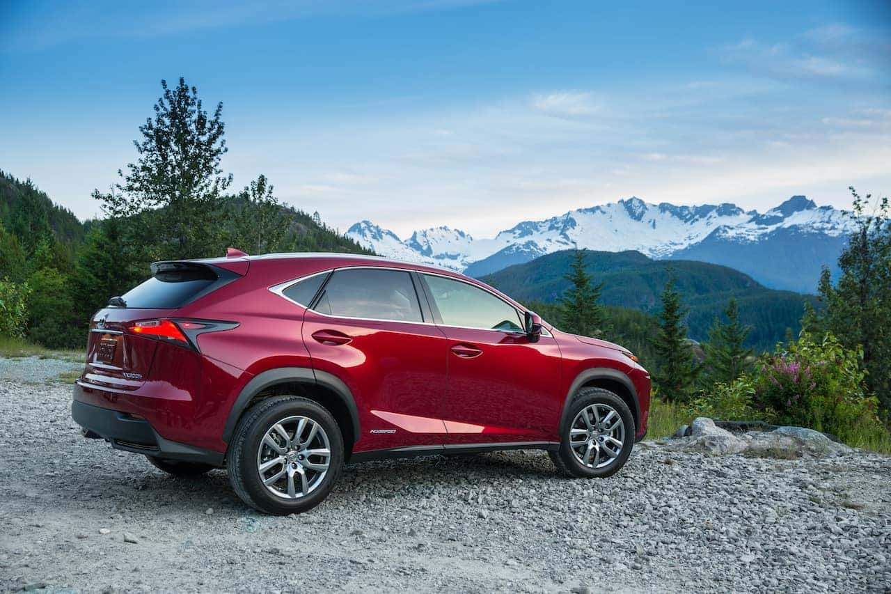 2021 Lexus NX 300h red mountaintop