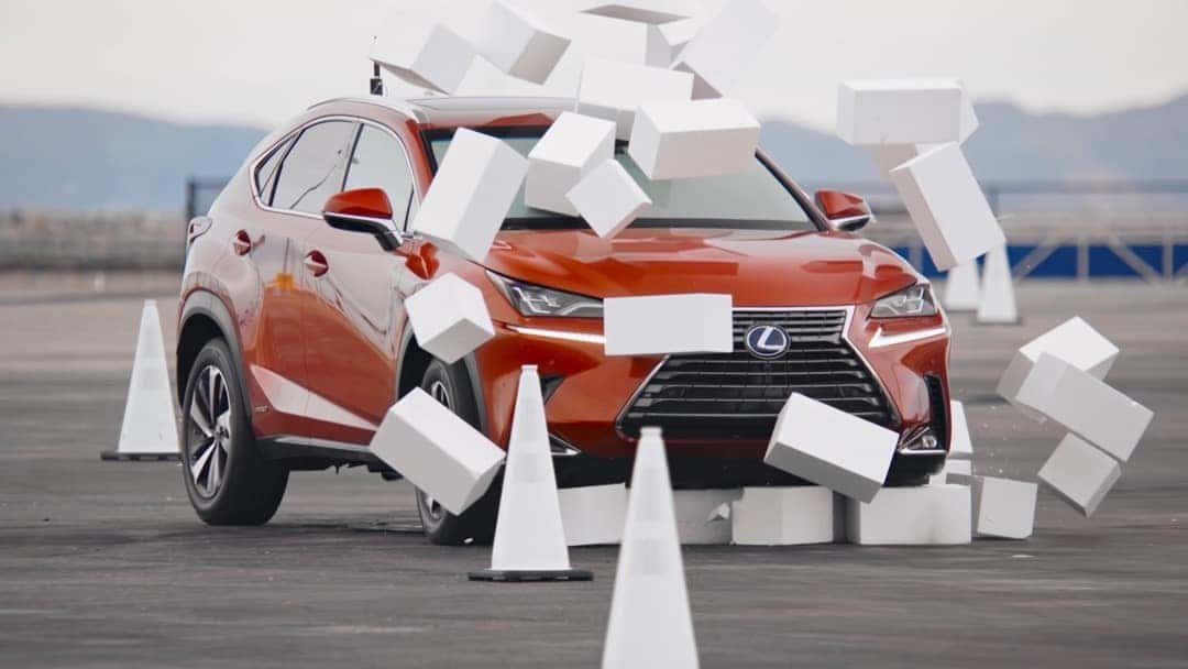 Driving Disrupted Impact NX orange