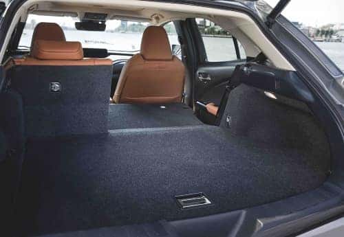 lexus cargo area
