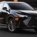 Front View of 2024 Lexus NX 350 in Caviar