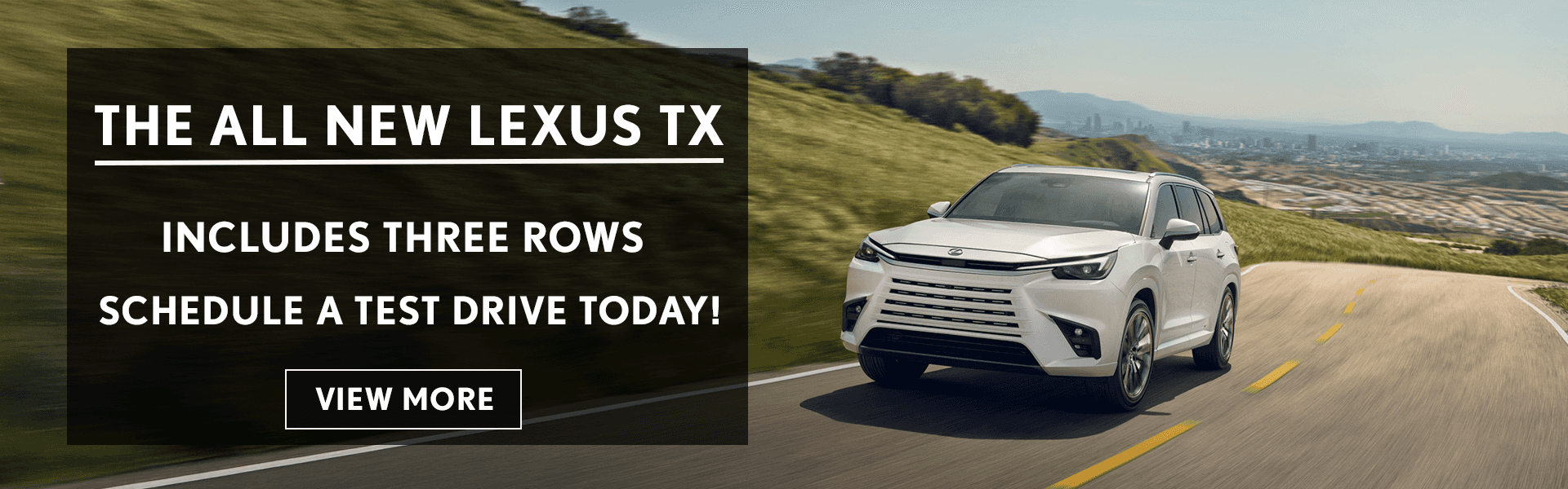 All New Lexus TX