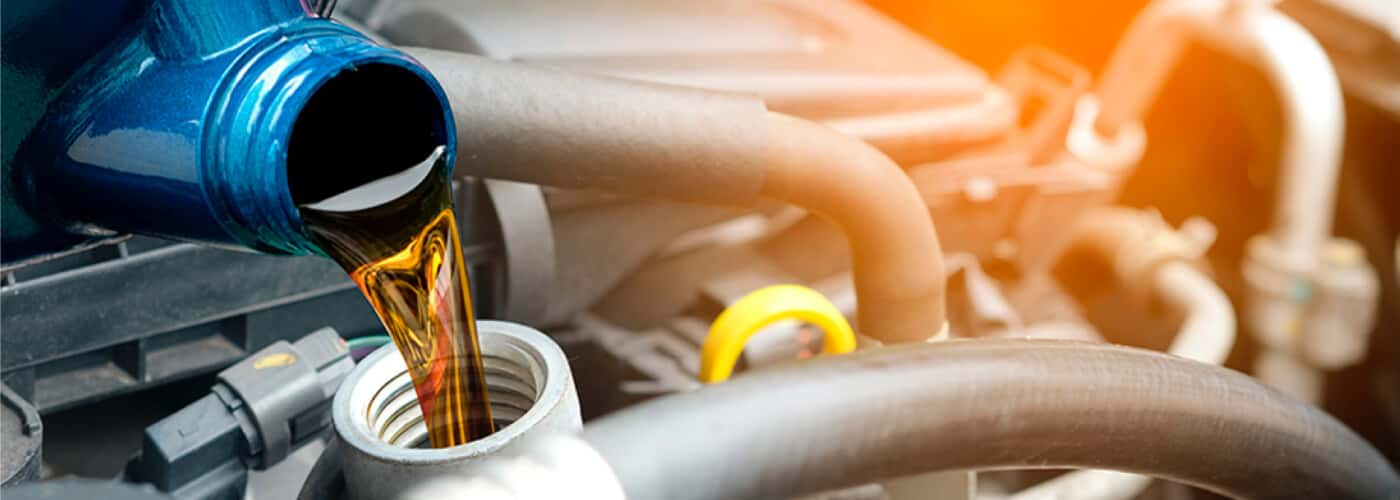 Lexus Oil Change