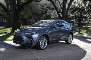 Zoo-To-Do x Lexus of New Orleans | New Orleans, LA | Lexus of New