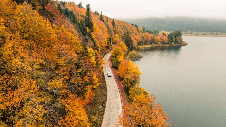 Car driving down a winding fall road near a lake.