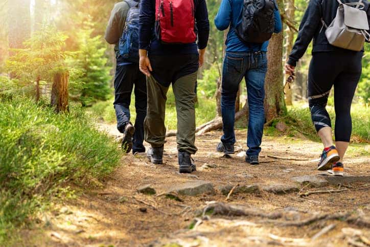 Explore Nearby Trails This Season
