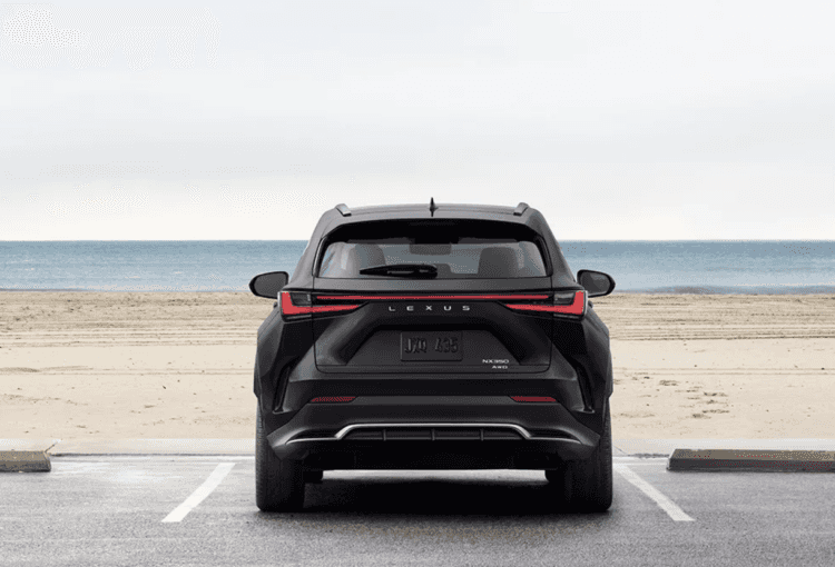 Exploring the F SPORT Trims in the RX and NX