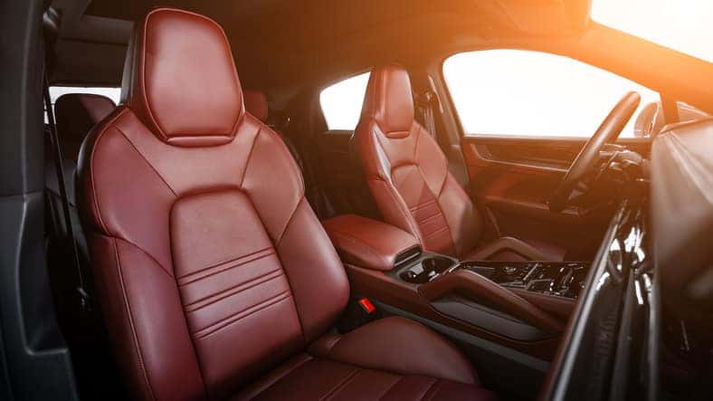 Lexus Interior and Features