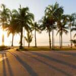 Beach Day Trips Lexus