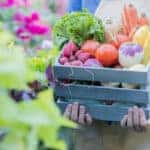 Farmers Market Produce