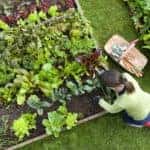 Family Garden