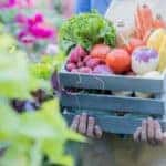 Farmers Market Produce