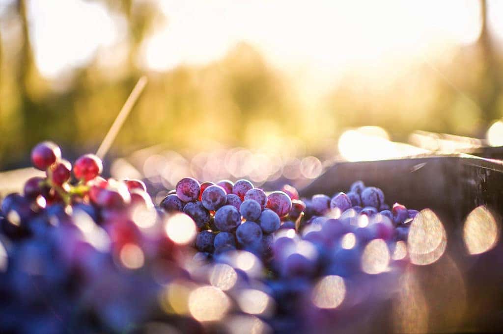 Start Training For The Birmingham Wicked Wine Run